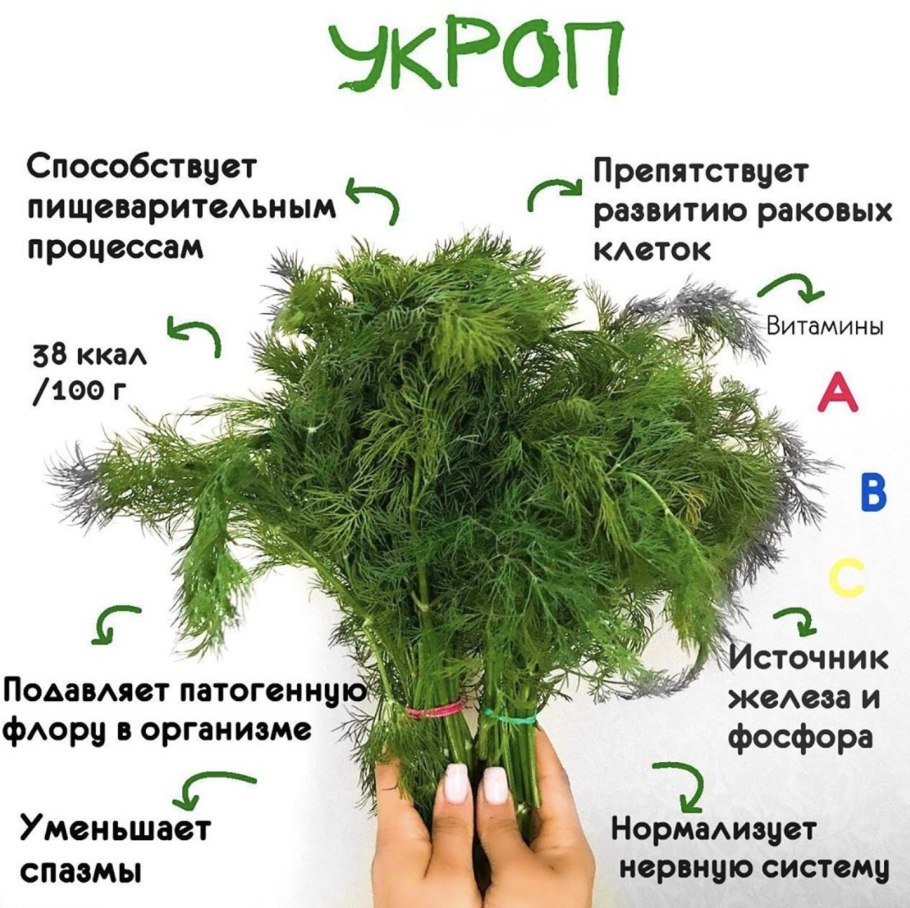 Зелень в стаканчиках на подоконнике