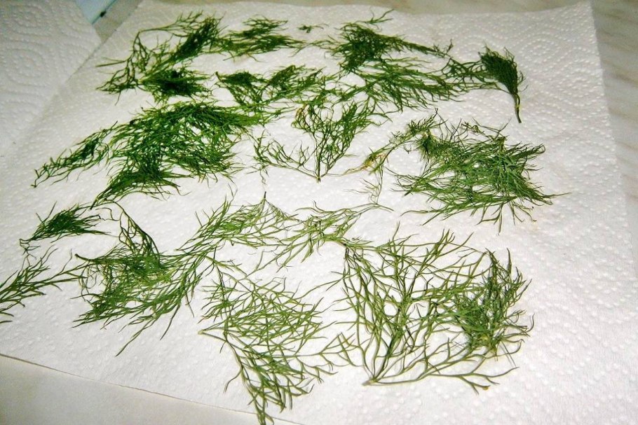 Овощи и зелень на подоконнике