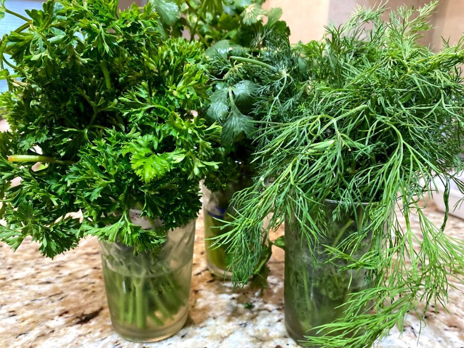 Салат на подоконнике