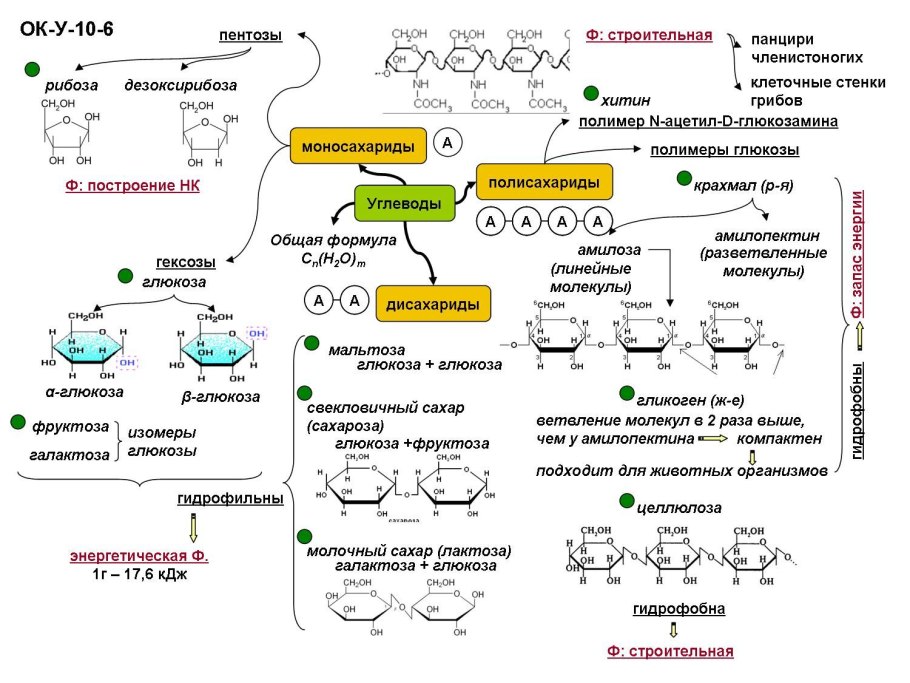 Химические свойства углеводов биохимия