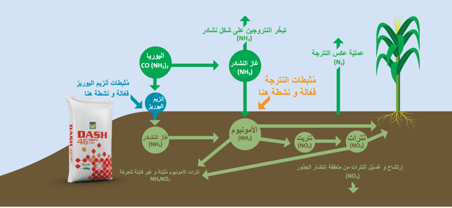 Схема удобрения азотные удобрения