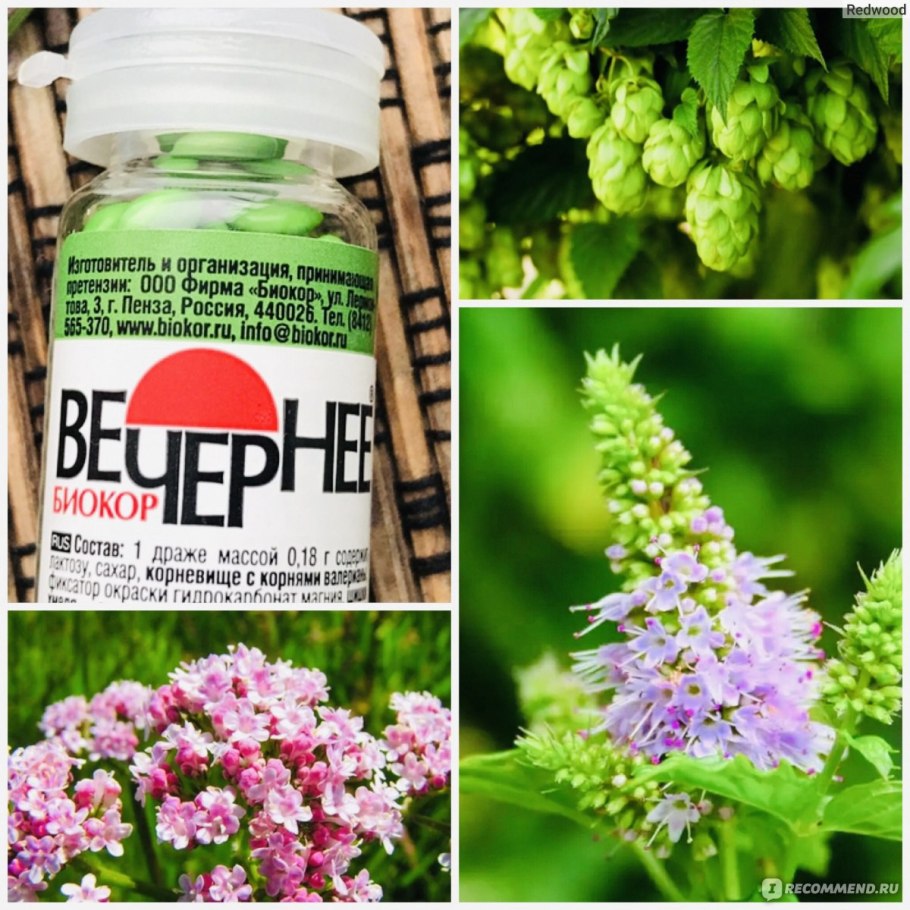 Валериана п драже 200 мг 50