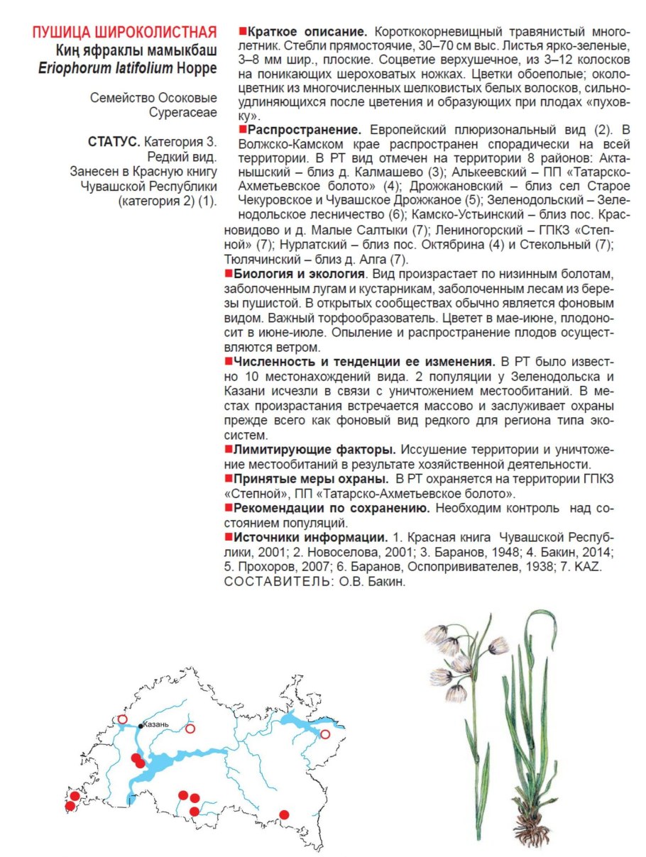 Пушица стройная красная книга Рязанской области