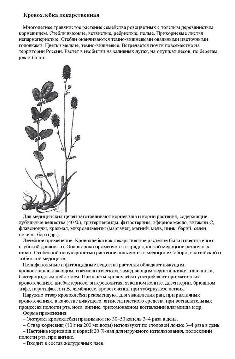 Этикетка для мелиссы и мяты