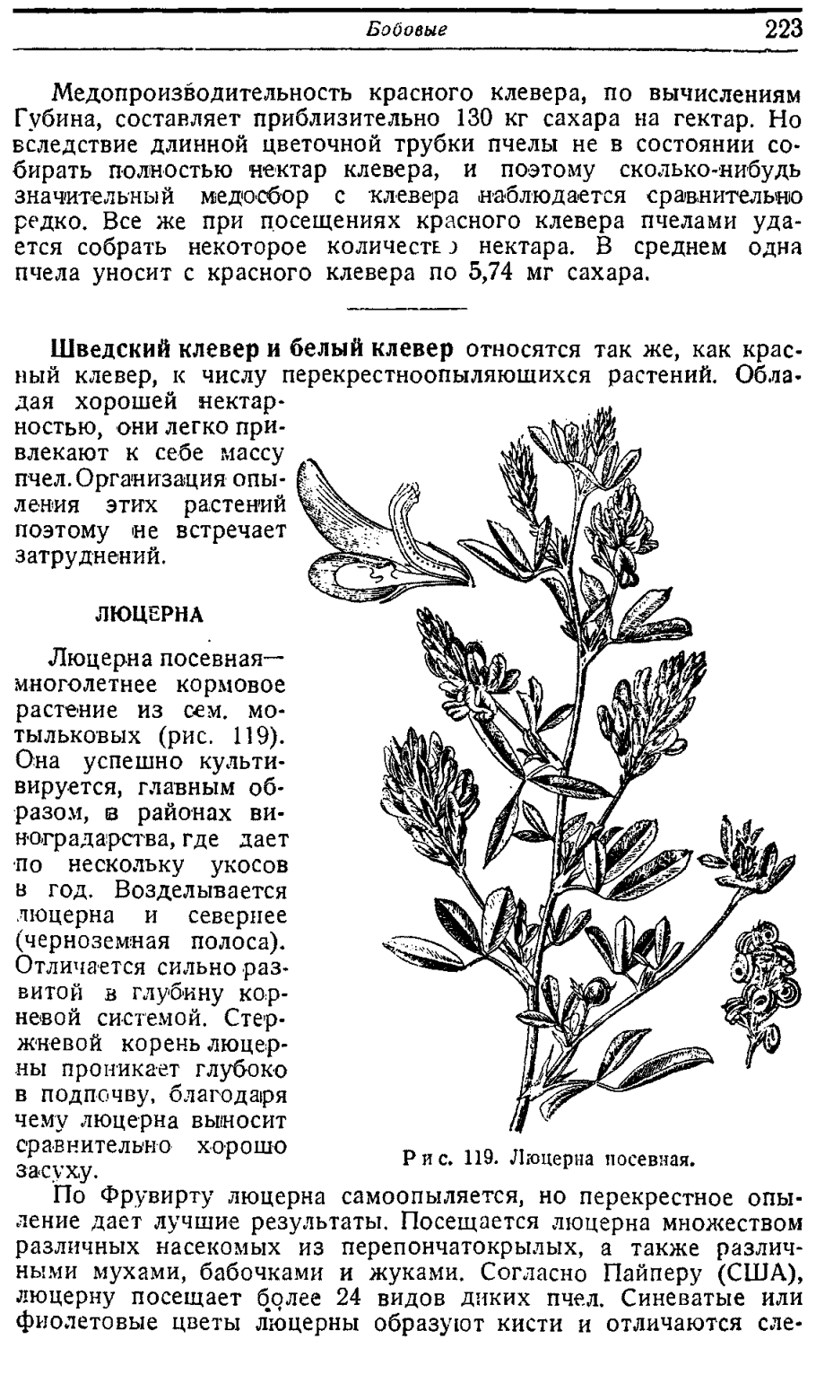 Строение цветковых растений