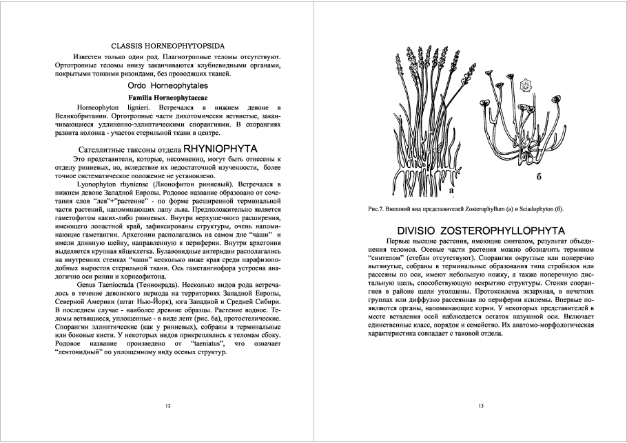 Плауновидные, Моховидные и Папоротниковидные