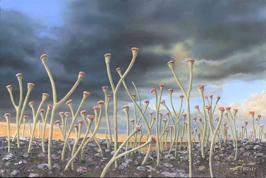 Силурийский период куксония