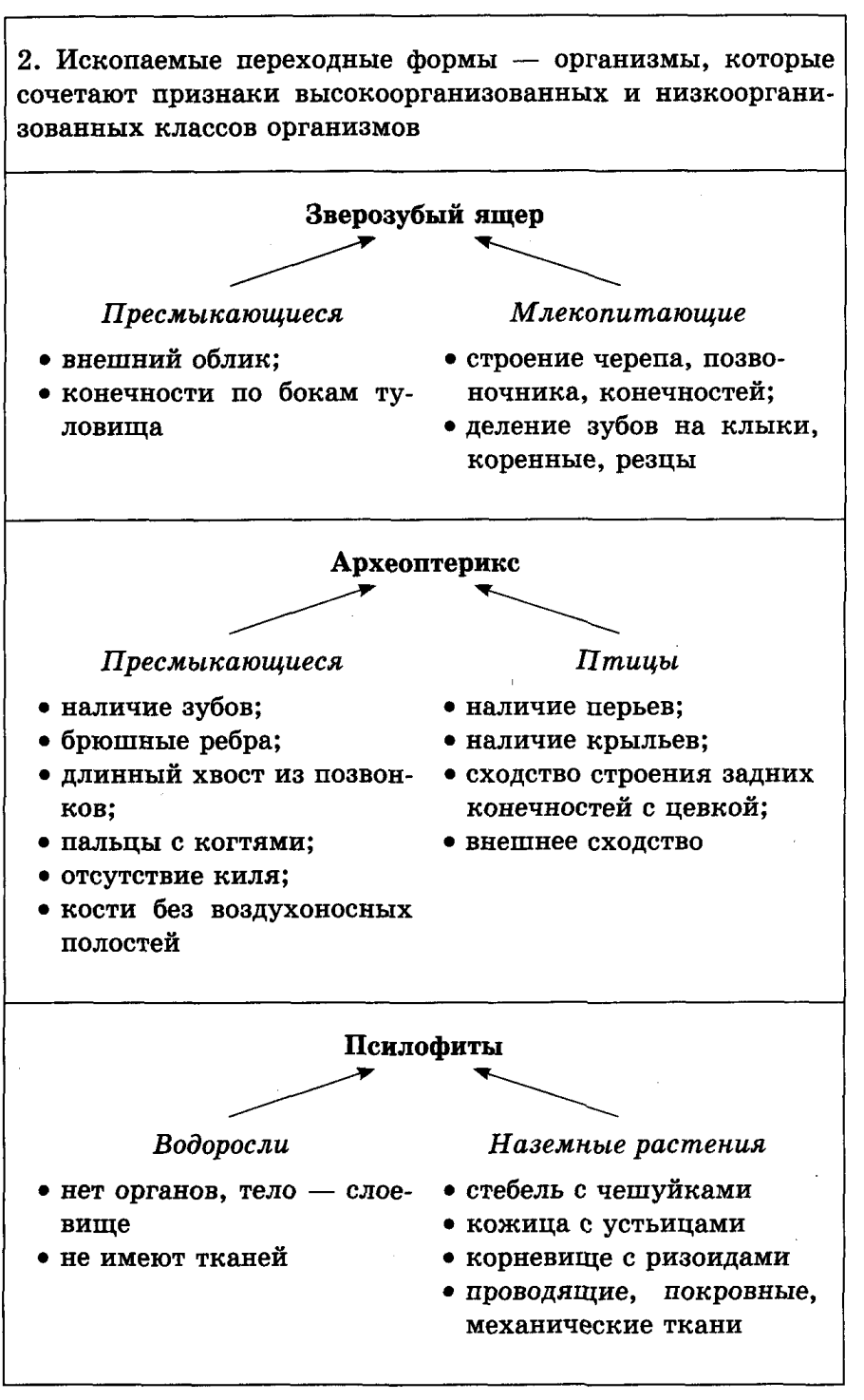 Псилофиты переходная форма между