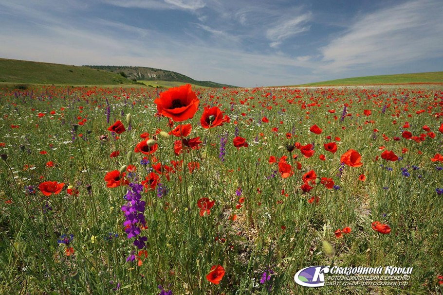 Равнинно Степной Крым