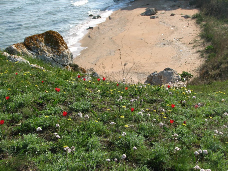 Тарханкут степь