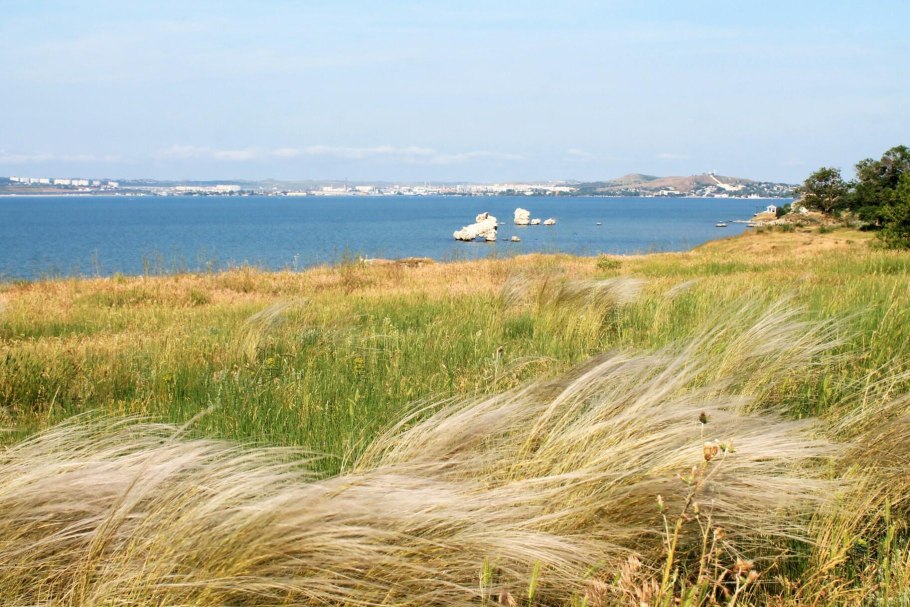 Степные медоносные травы Крыма