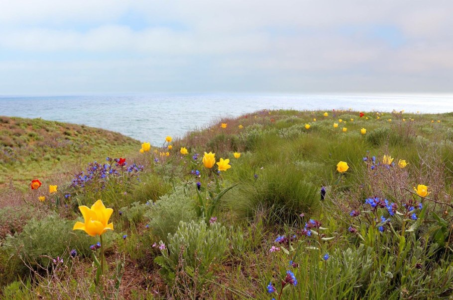 Караларская степь Крым