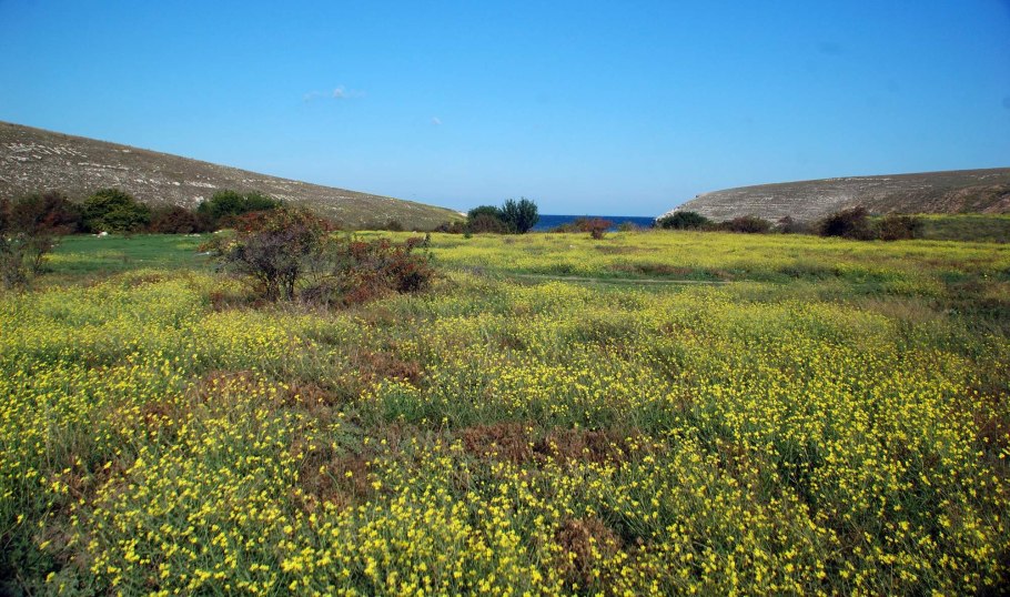 Караларская степь Крым