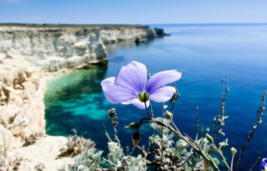 Таловская степь Оренбургской области