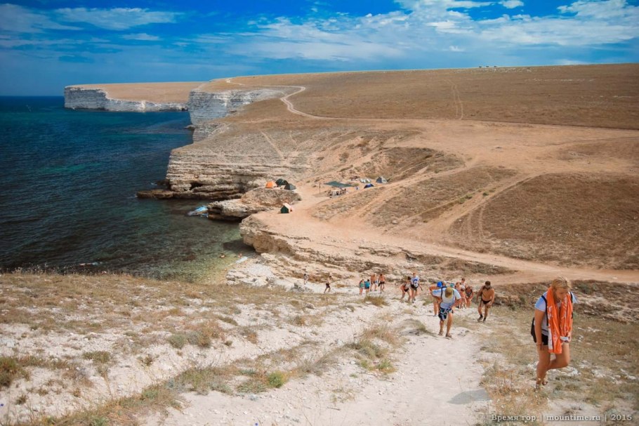 Крымский тюльпан Шренка