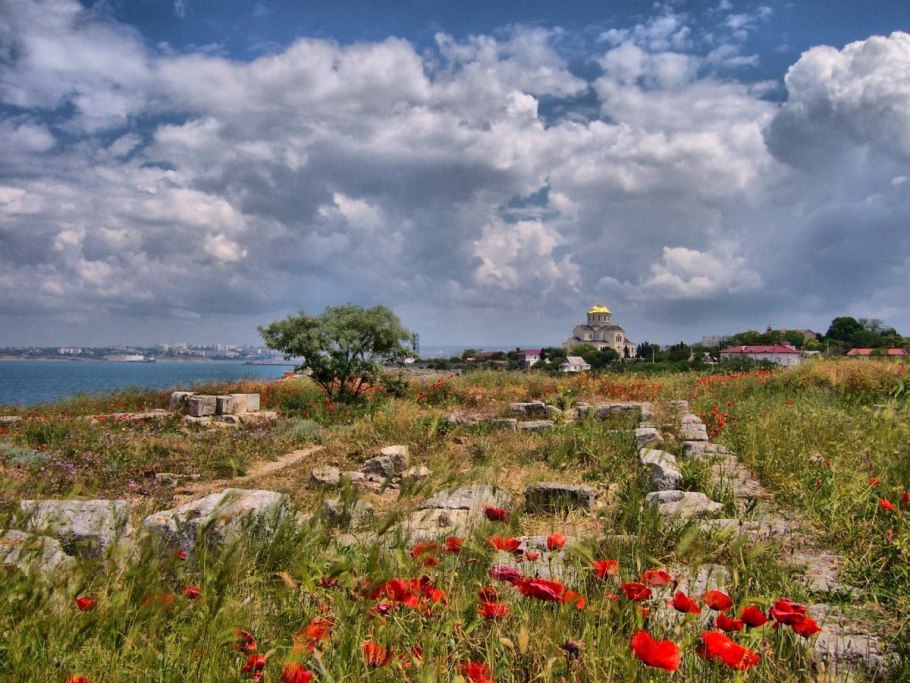 Полевые цветы Крыма