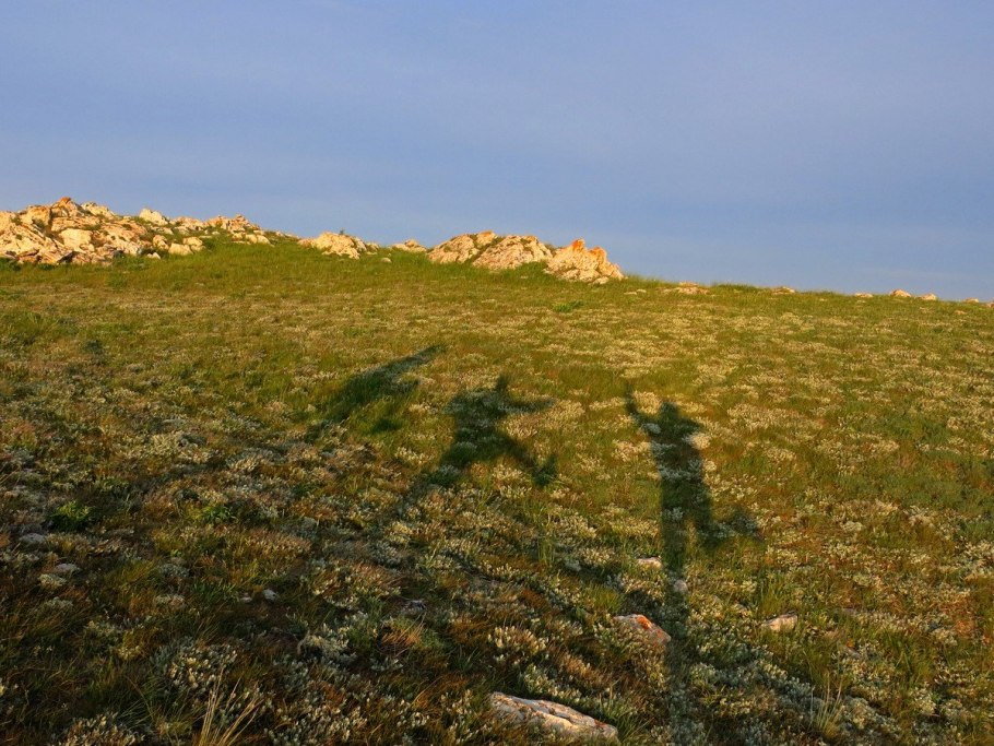 Петрофитные степи