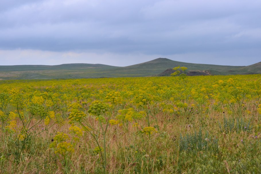 Озеро Панское Тарханкут