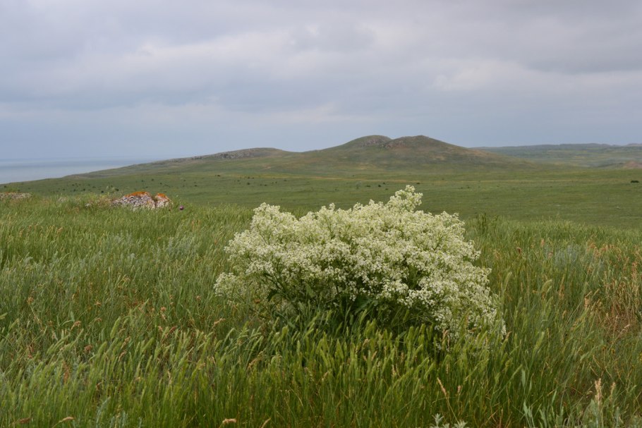 Равнинно Степной Крым
