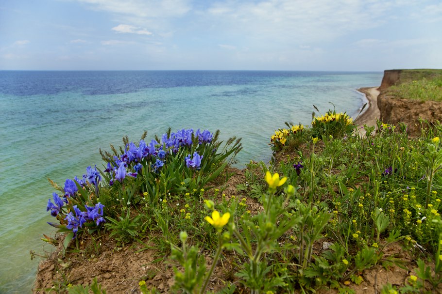 Мыс Тарханкут степь