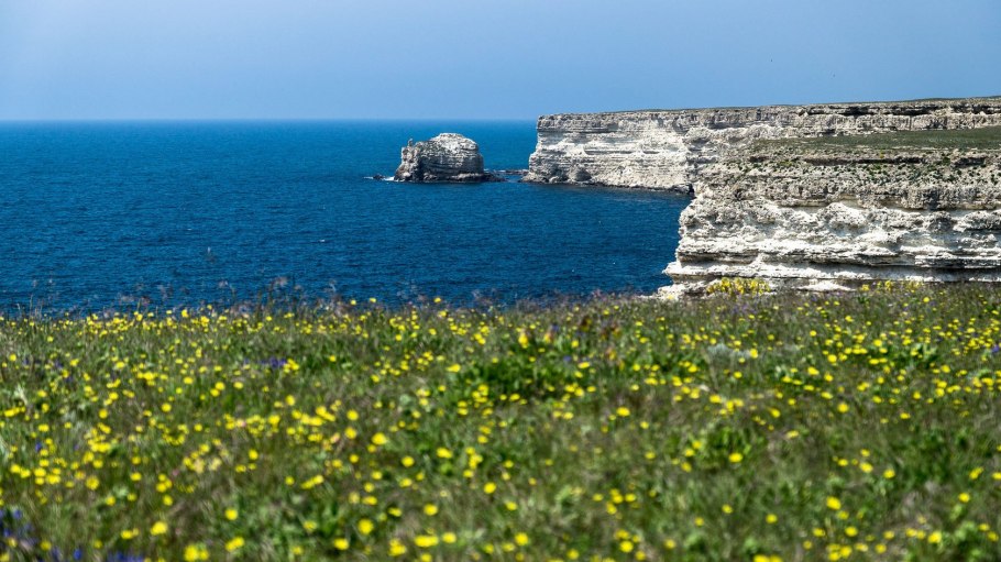 Мыс Опук в Крыму тюльпаны