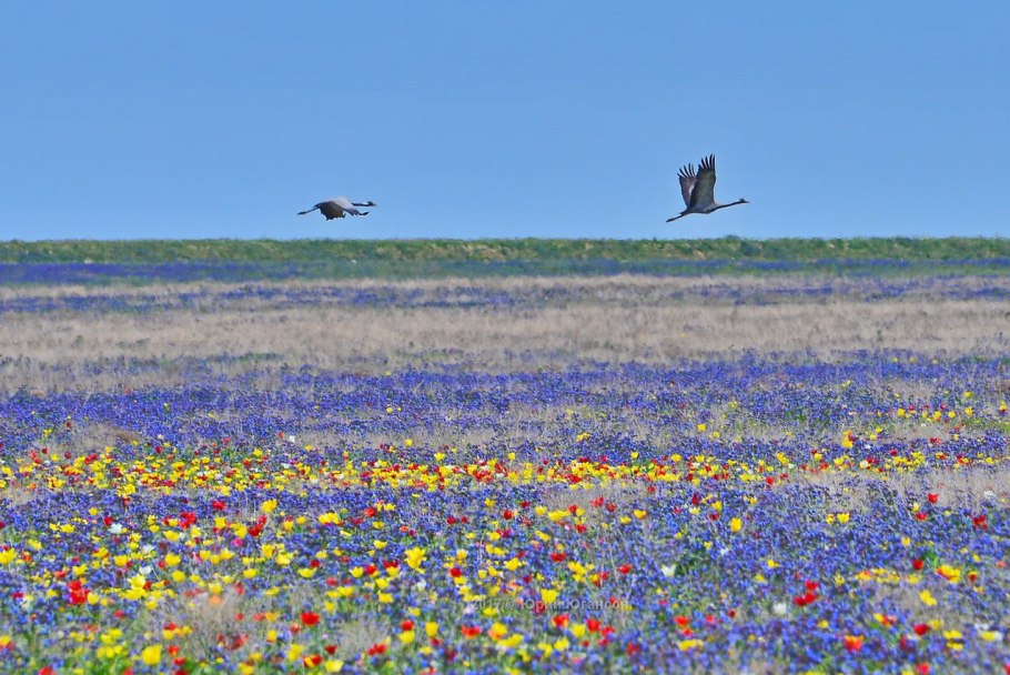 Степной Крым море