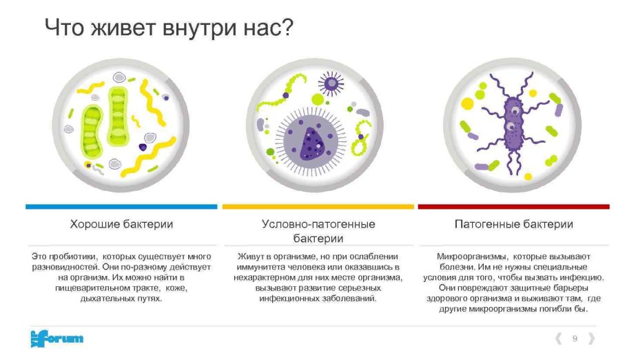 Условно-патогенные микроорганизмы