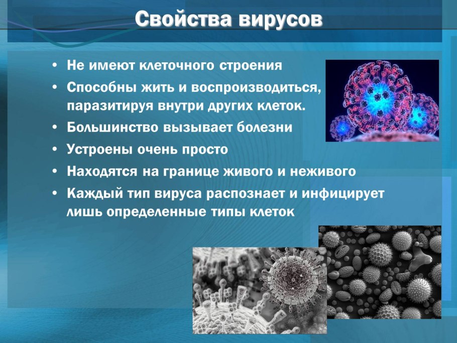 Вирусы биология