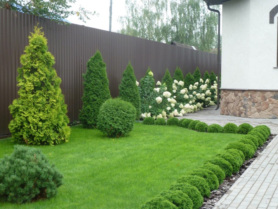 Кустарники и туя Смарагд в миксбордере