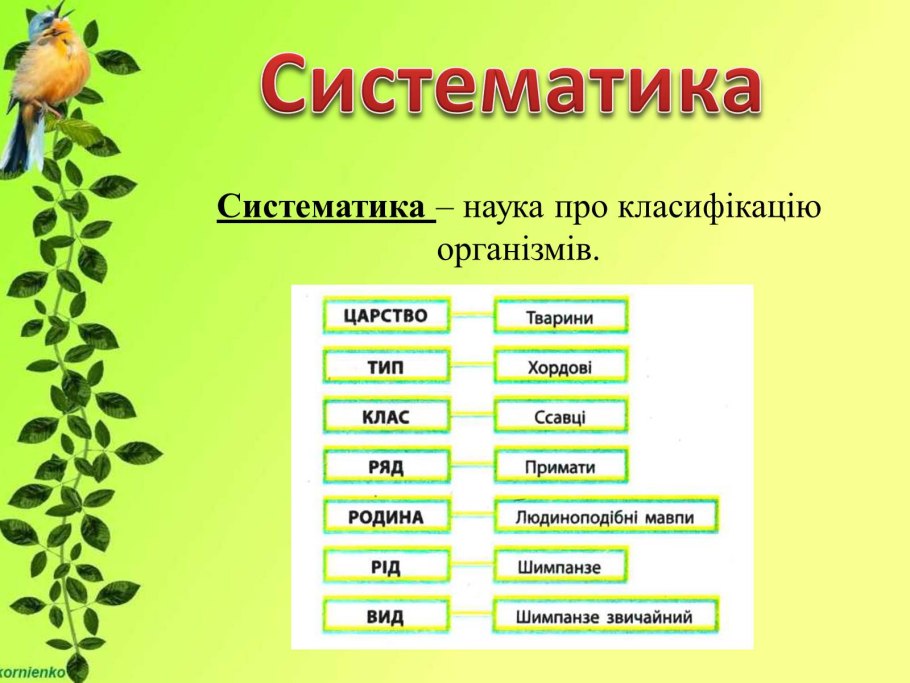 Систематика растений и животных таблица