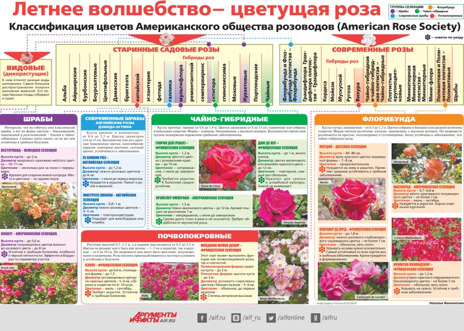 Схема классификации Минеральных удобрений