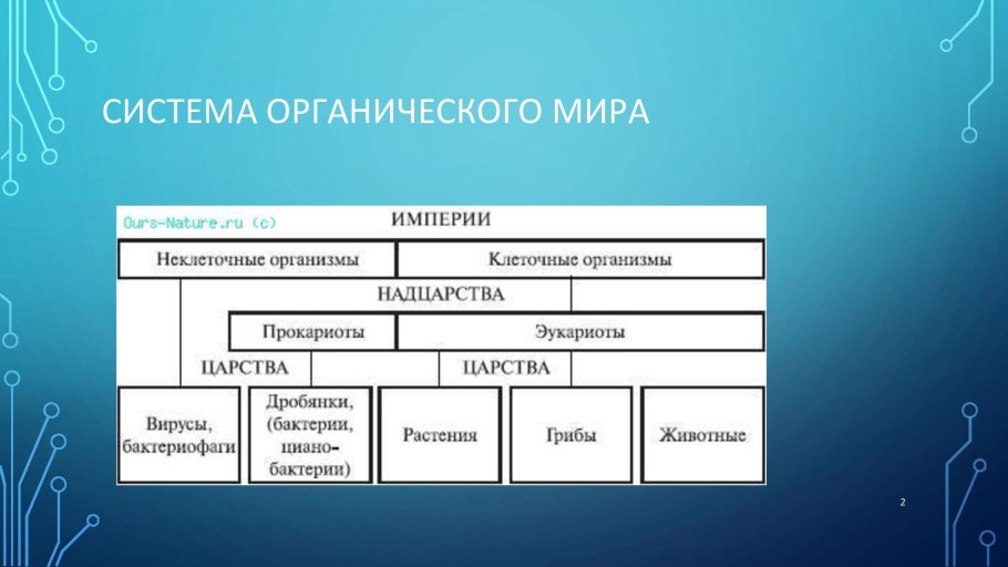 Классификация ЛРС содержащего эфирные масла
