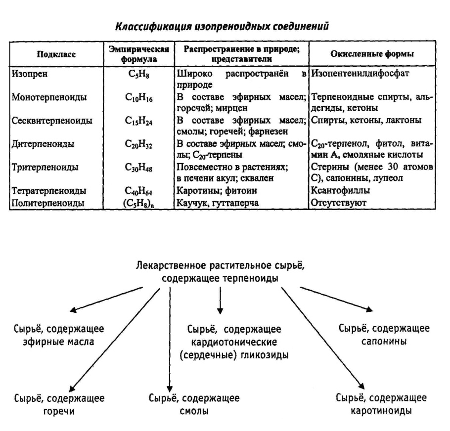 Классификация вирусов таблица