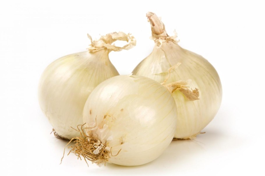 Лук серебристый