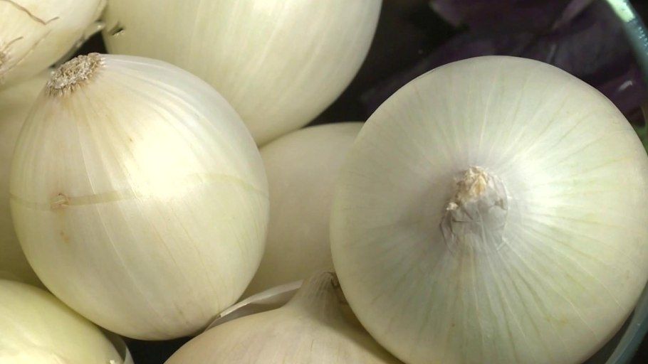 Вайт Винг белый лук