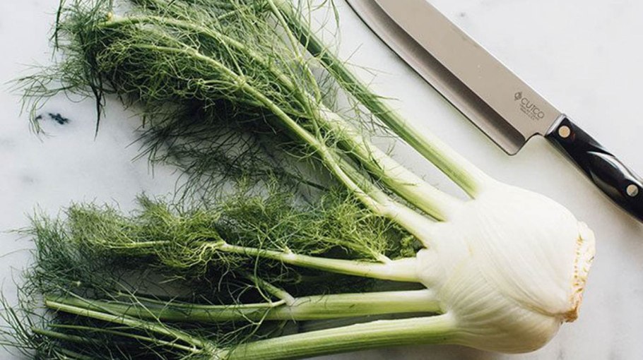 Фенхель овощ