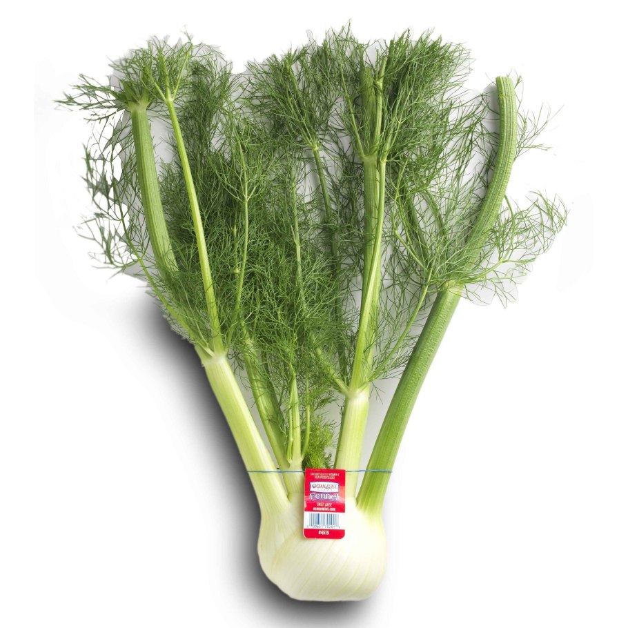 Фенхель овощной