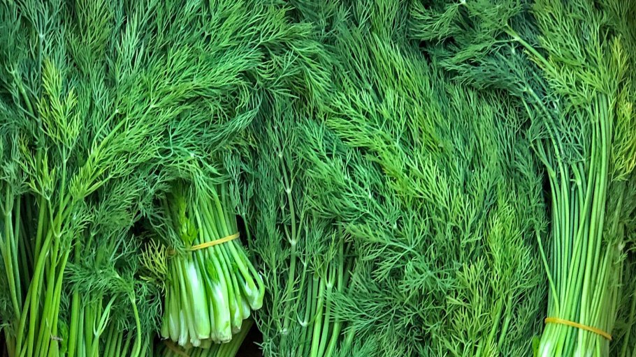 Анис обыкновенный сырье