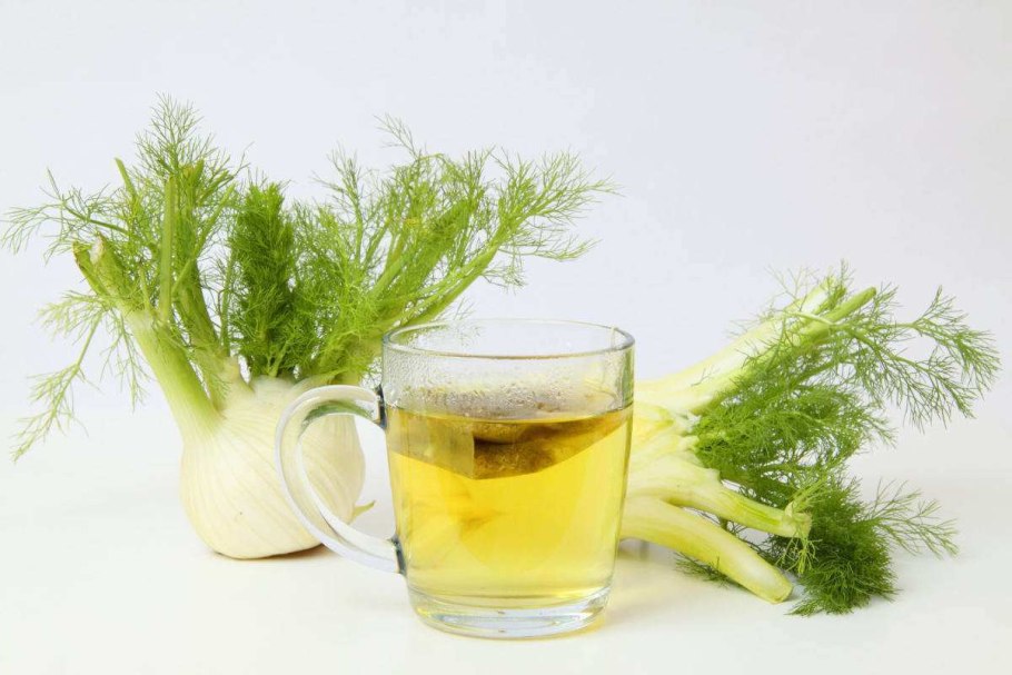 Фенхель укроп тмин