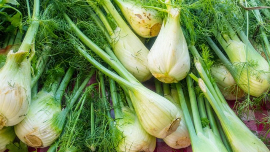 Семена фенхеля и тмина