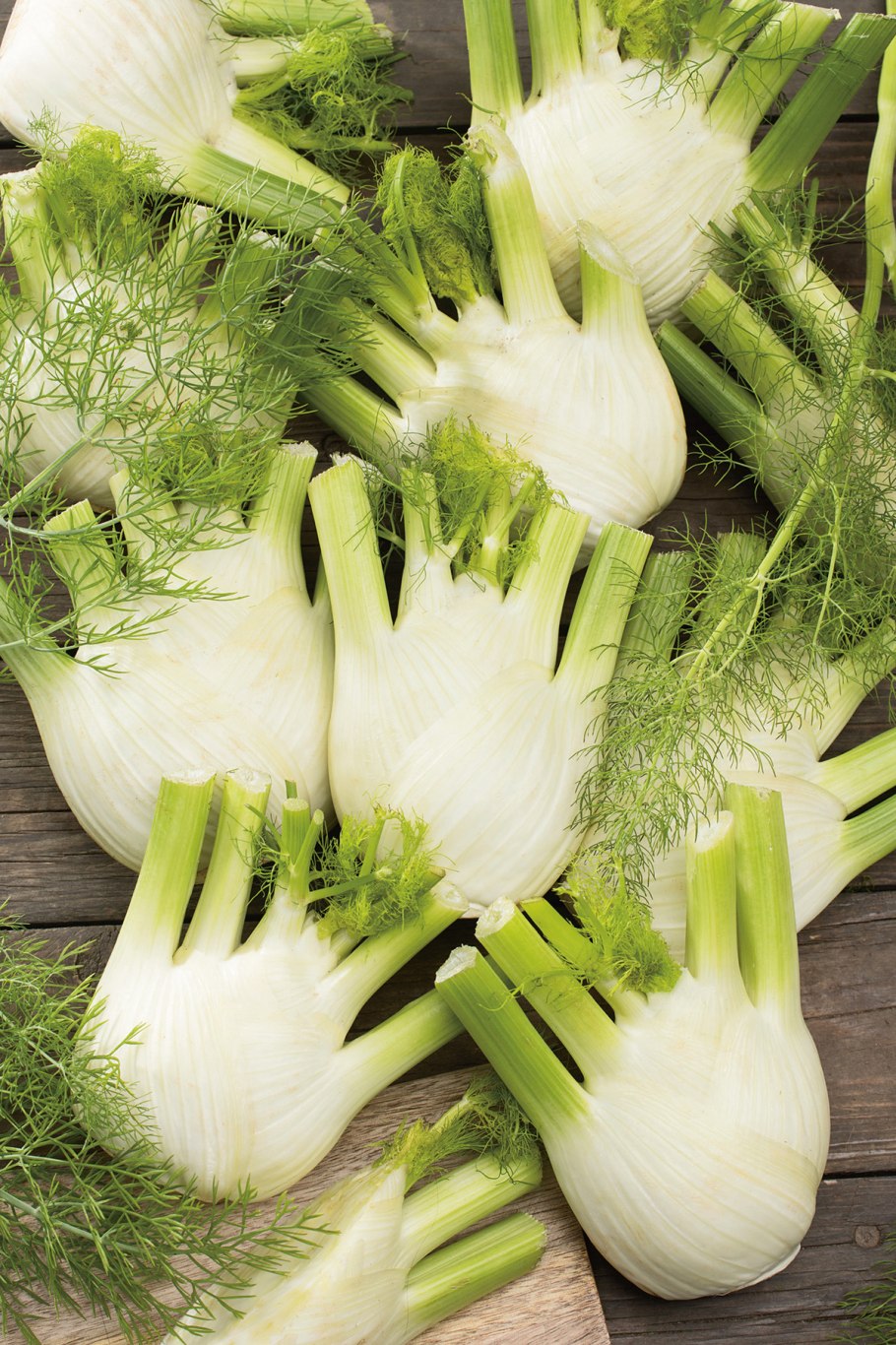 Фенхель луковица