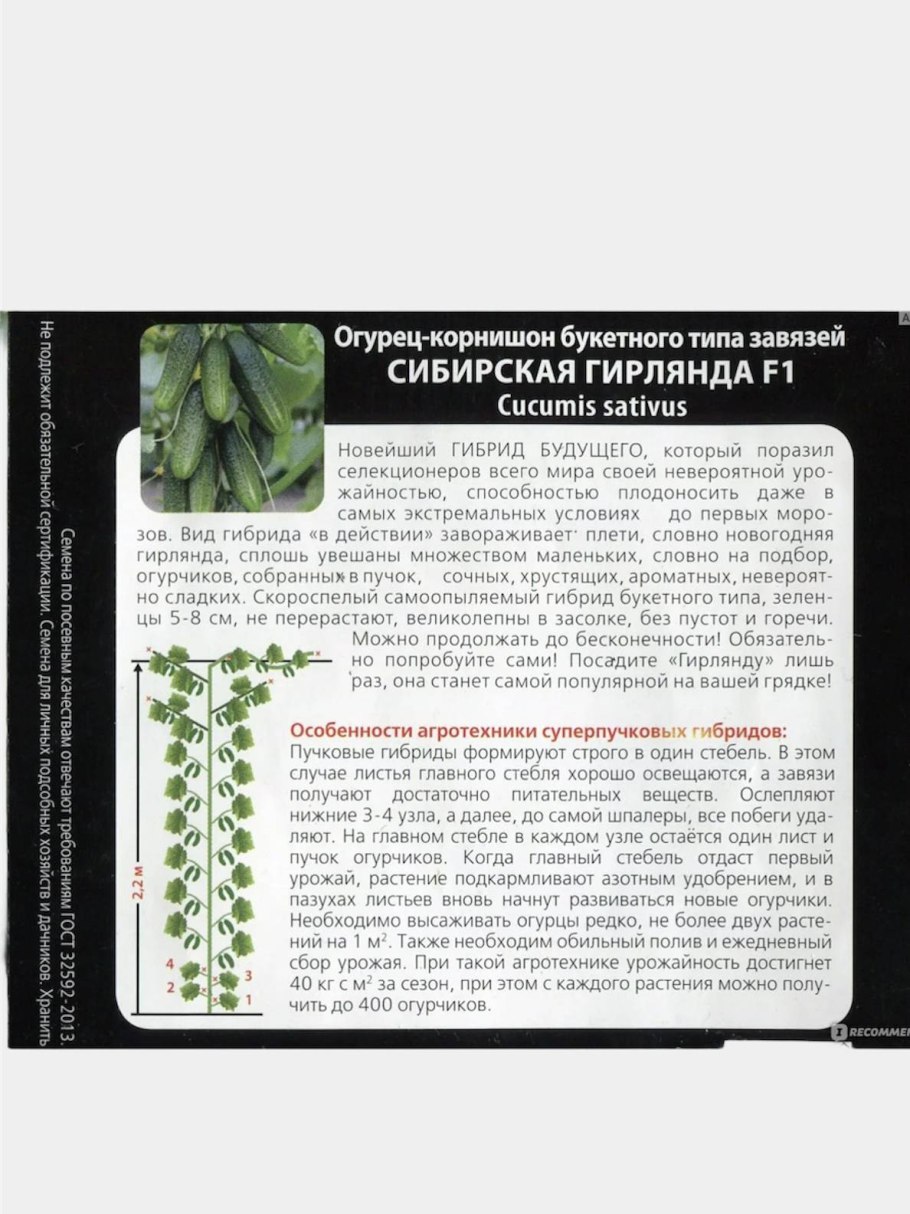 Гирлянда из огурцов