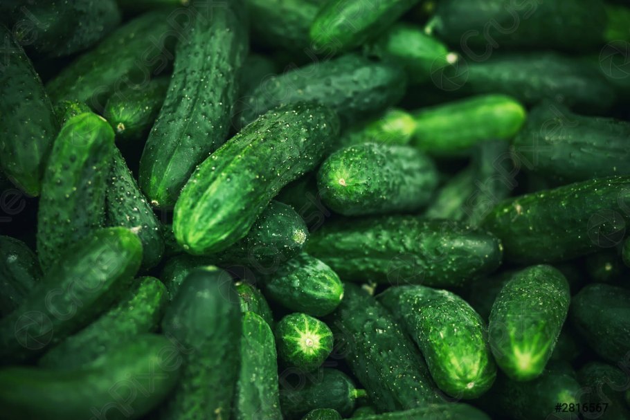 Огурец гирлянда f1 10шт Гавриш