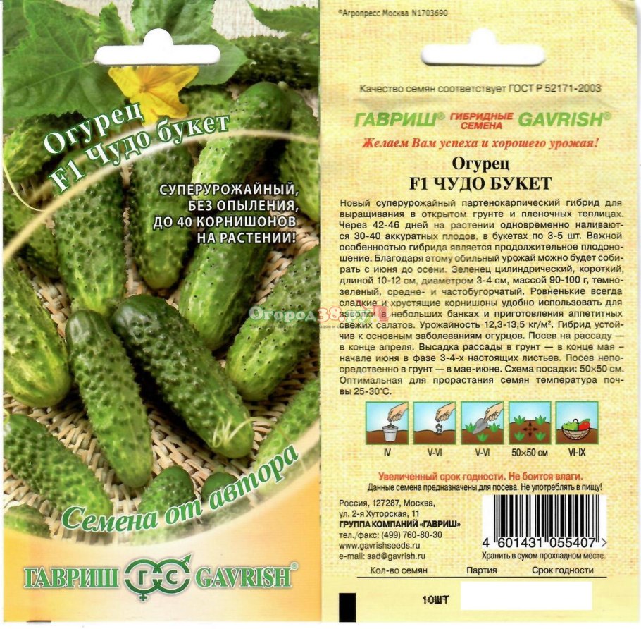 Огурец Герман f1 в теплице