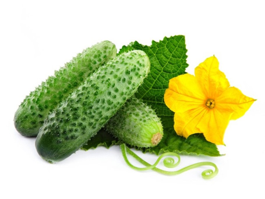 Зеленая рамка на прозрачном фоне