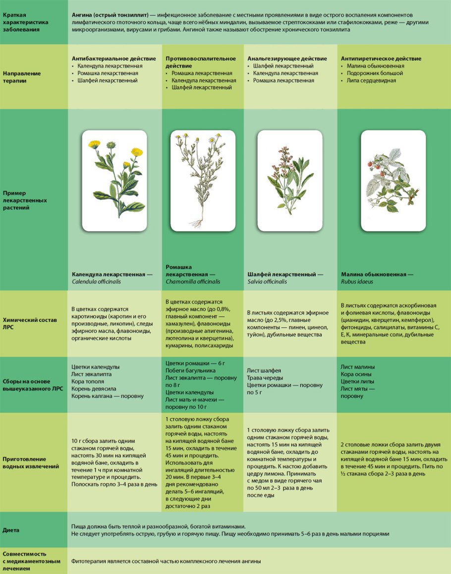 Фитотерапия при ангине