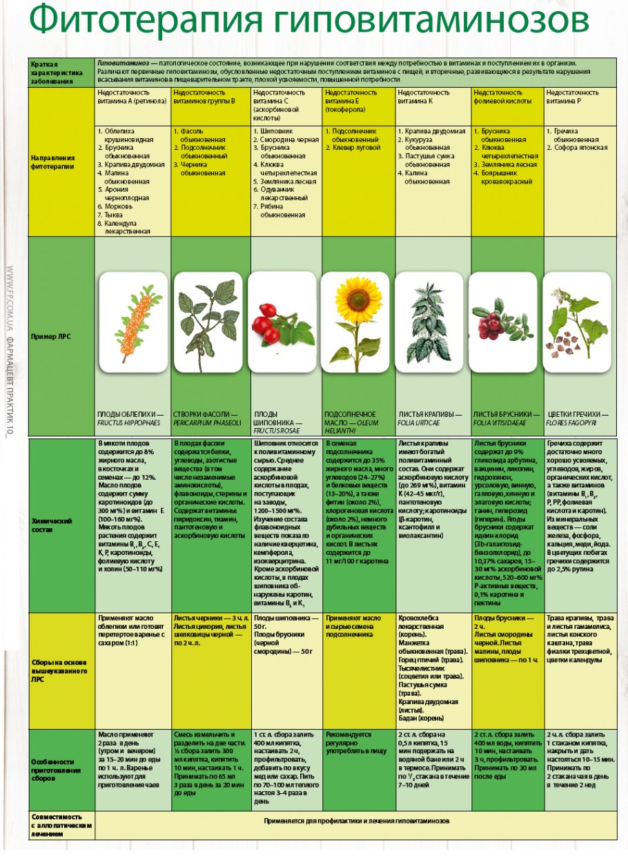 Фитотерапия кратко