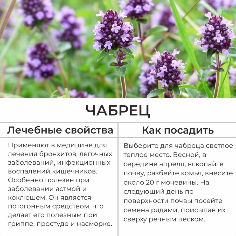 Рецепт из лечебных трав