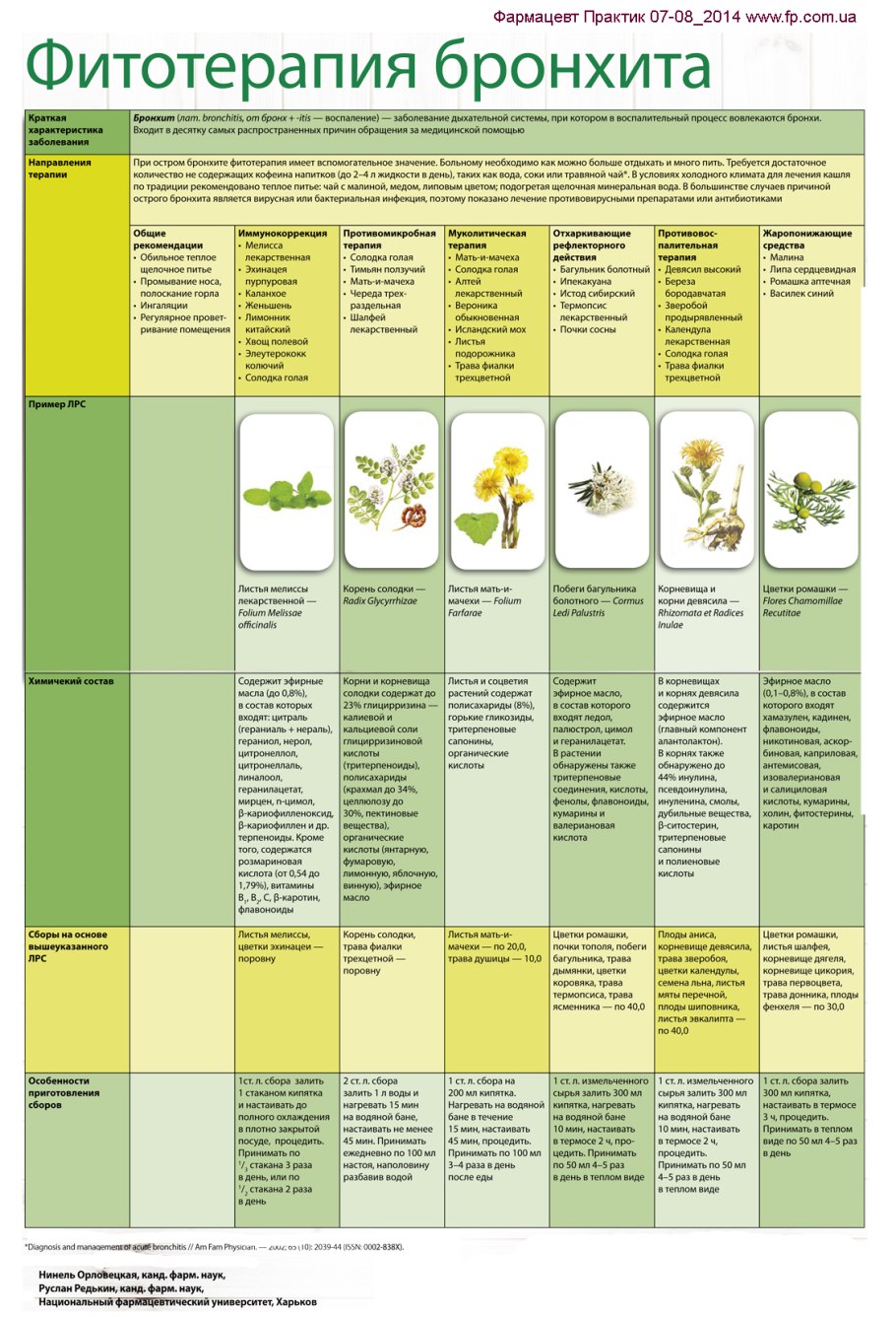 Травы для условного голодания по Марве Оганян