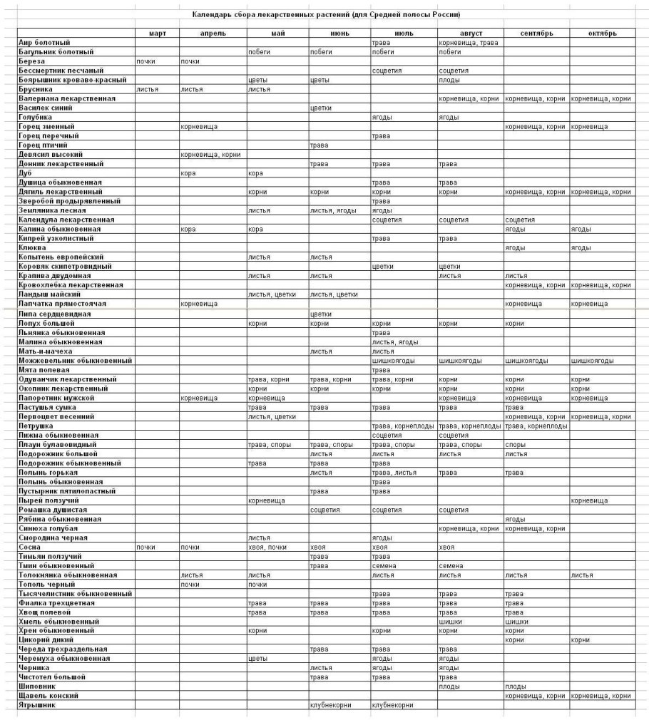 Таблица сбора трав по месяцам России